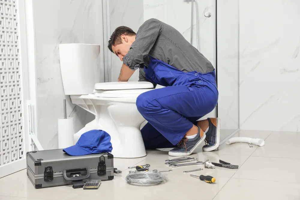 Toilet Installation in Croom